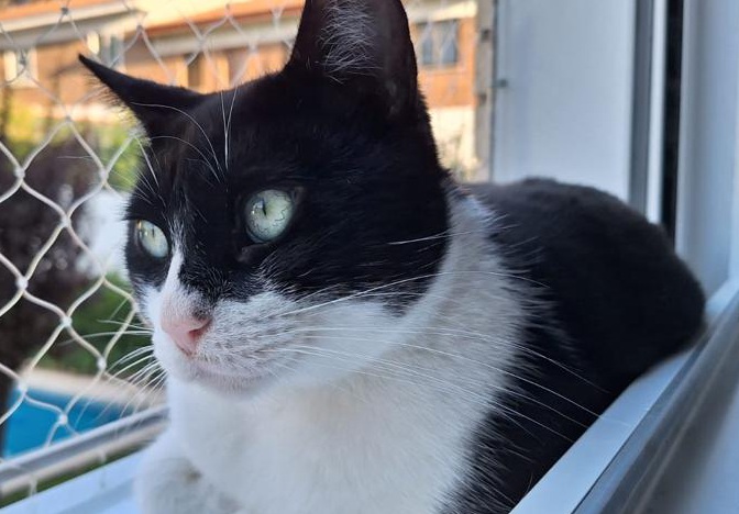 multimedia-foto85214-359-1