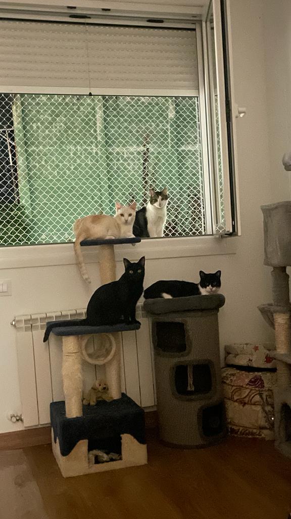 multimedia-foto85222-991-1