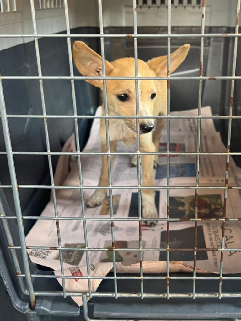 multimedia-foto85250-834-1