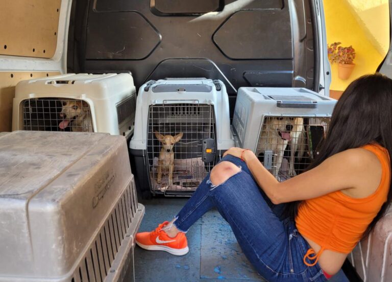 multimedia-foto85252-835-1