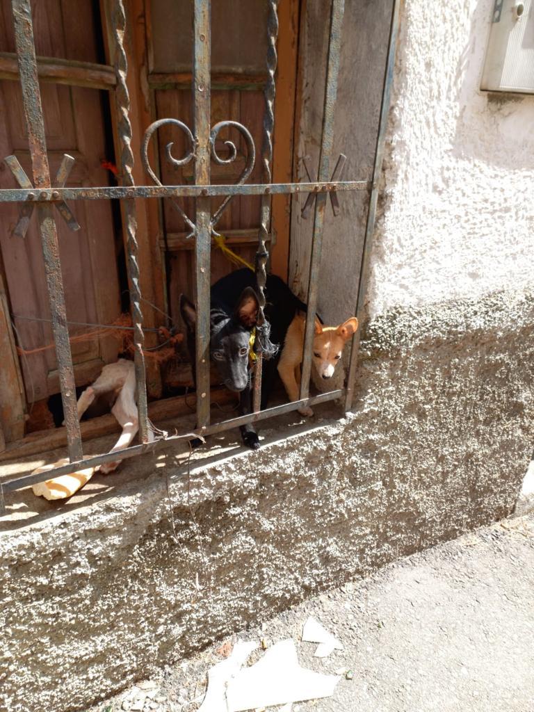 multimedia-foto85254-835-1