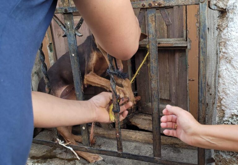 multimedia-foto85265-184-1