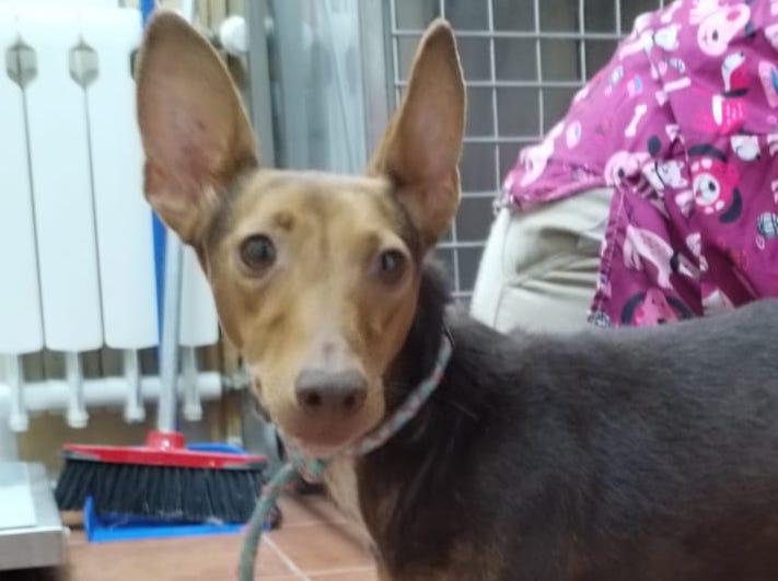 multimedia-foto85266-184-1