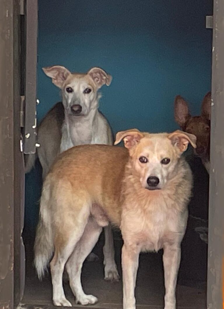 multimedia-foto85277-533-1