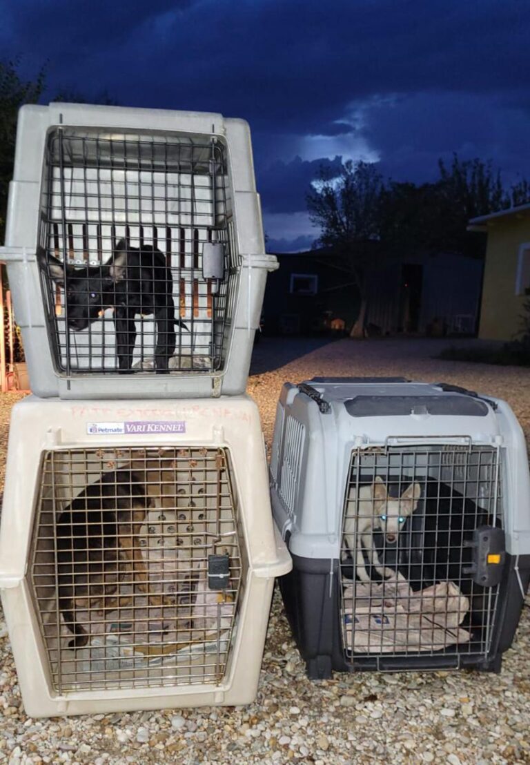 multimedia-foto85279-533-1