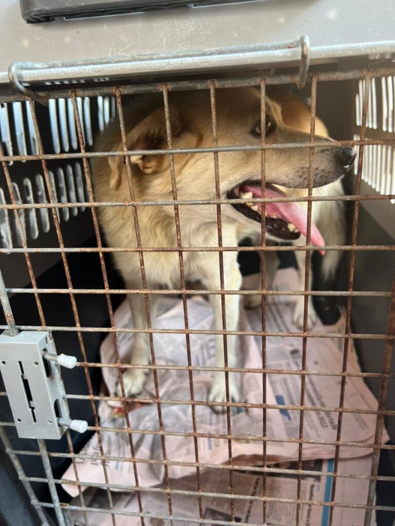 multimedia-foto85282-534-1