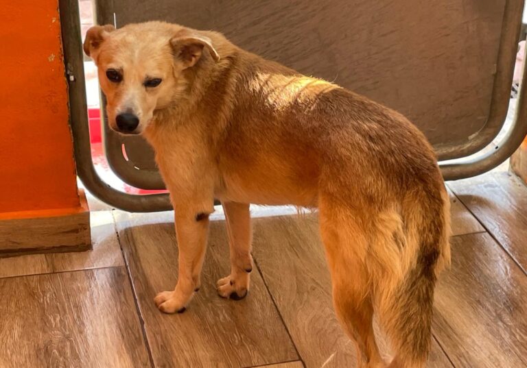 multimedia-foto85284-534-1