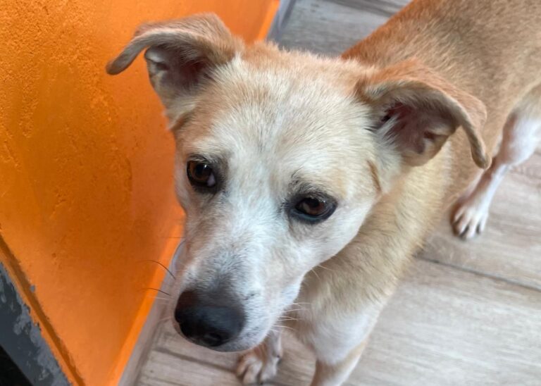 multimedia-foto85286-534-1