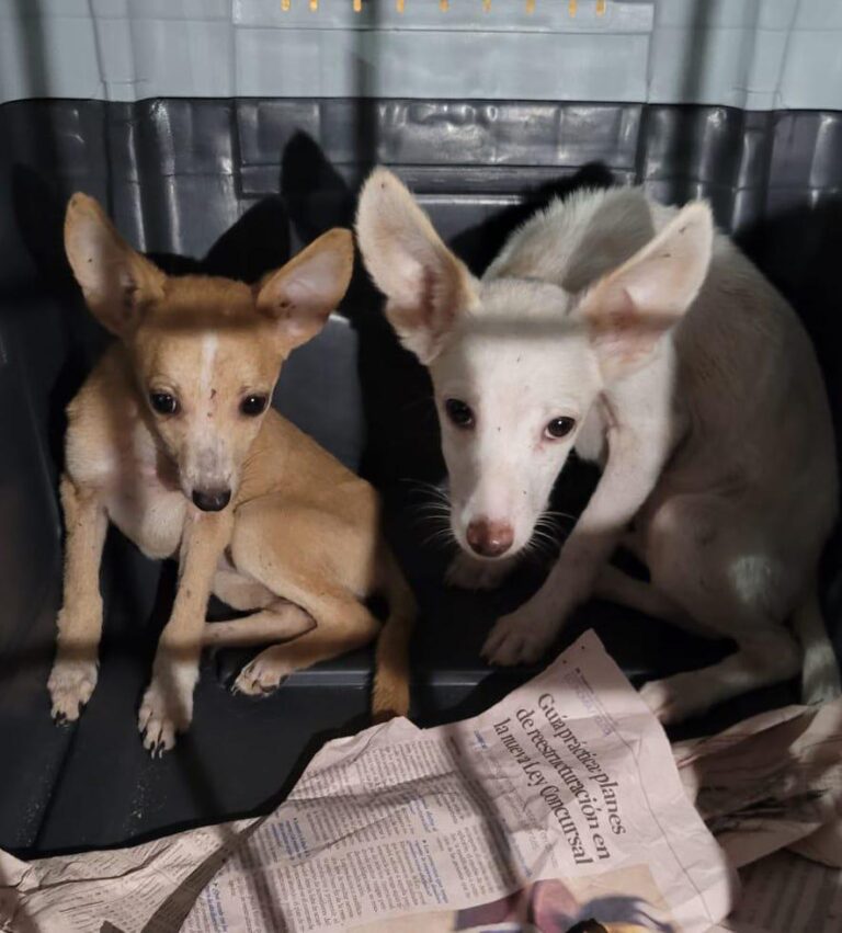 multimedia-foto85287-811-1