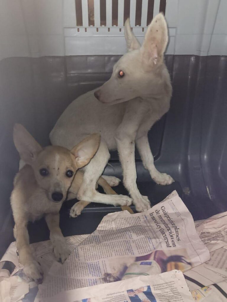 multimedia-foto85289-811-1