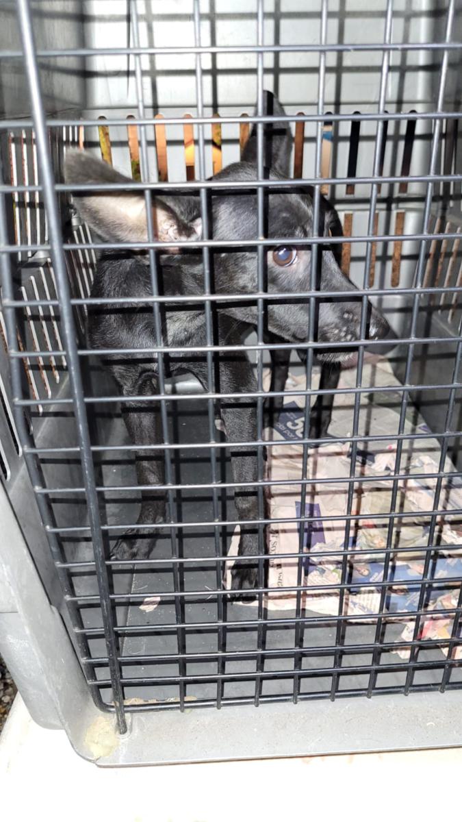 multimedia-foto85300-996-3