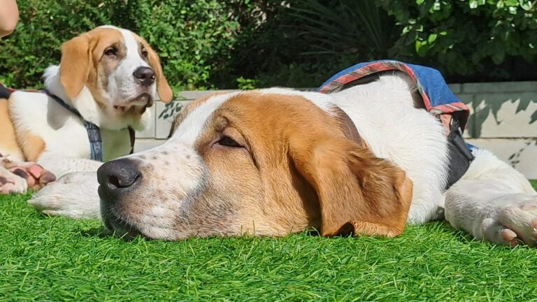 multimedia-foto85313-236-1