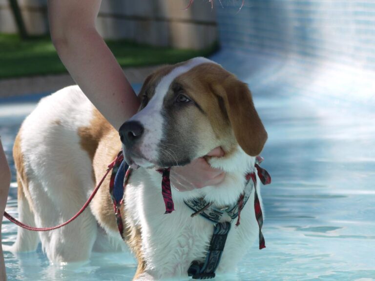 multimedia-foto85316-67-1