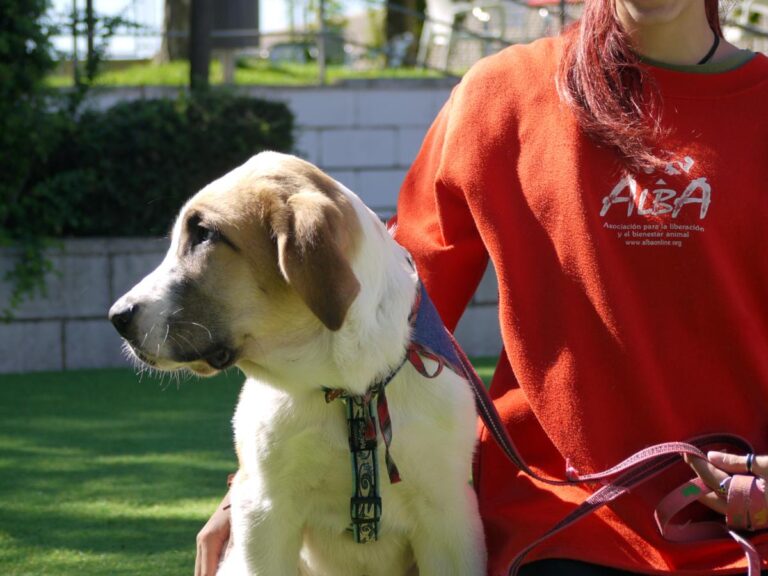 multimedia-foto85317-67-1