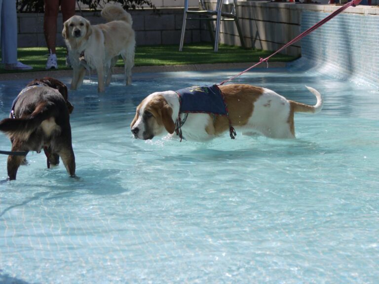 multimedia-foto85318-67-1