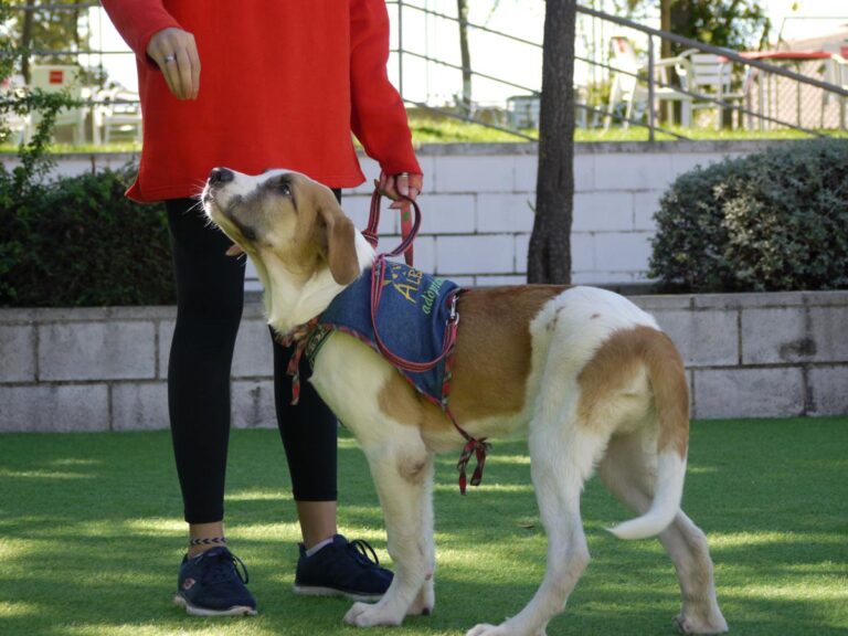 multimedia-foto85319-67-1