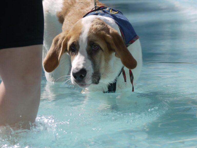 multimedia-foto85321-68-1