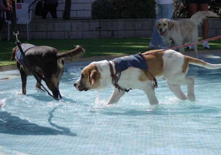 multimedia-foto85389-349-1