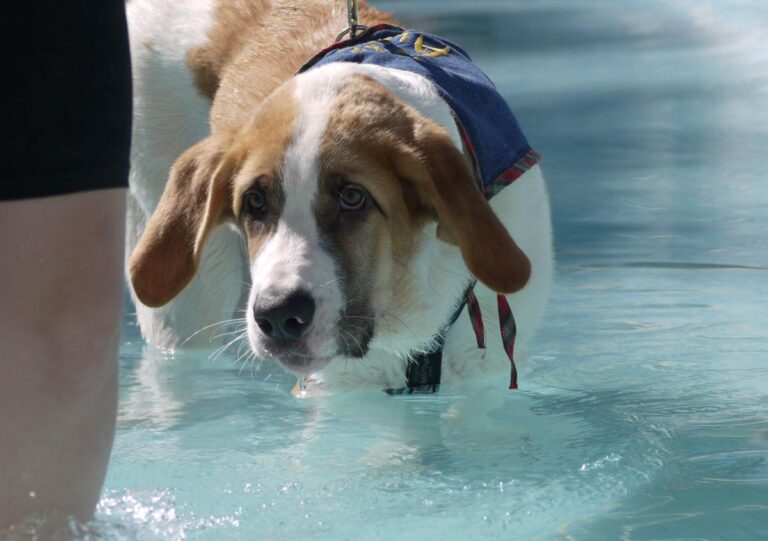 multimedia-foto85390-349-1