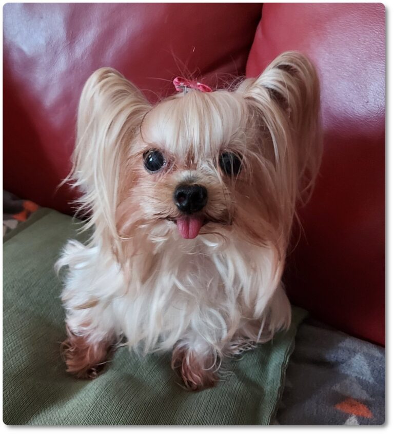 multimedia-foto85406-613-1