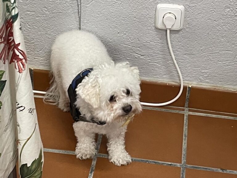 multimedia-foto85408-771-1