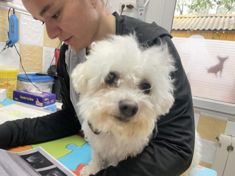 multimedia-foto85411-771-1