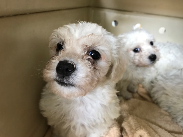 multimedia-foto85415-902-1