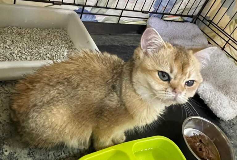 multimedia-foto85436-198-1