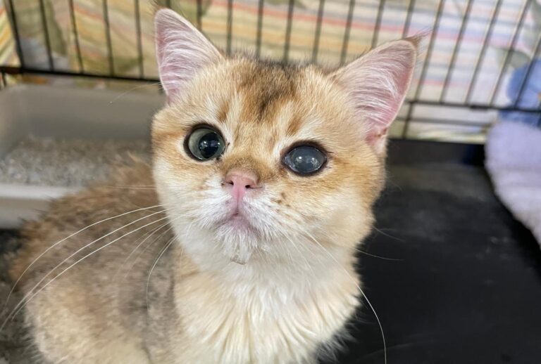 multimedia-foto85443-200-1