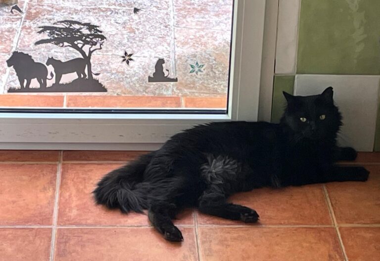 multimedia-foto85459-27-1