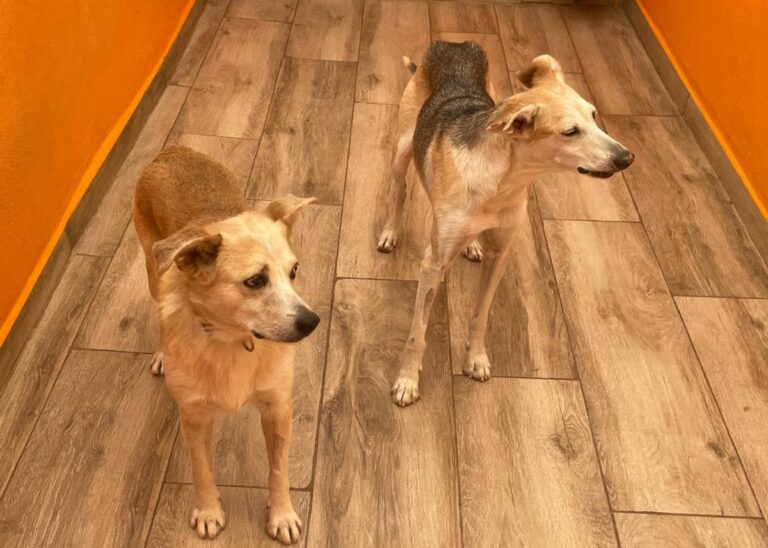 multimedia-foto85467-367-1