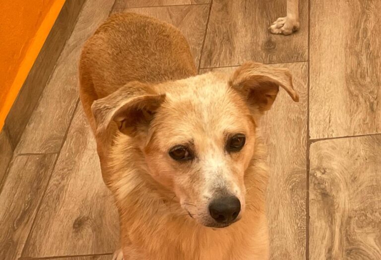 multimedia-foto85469-367-1