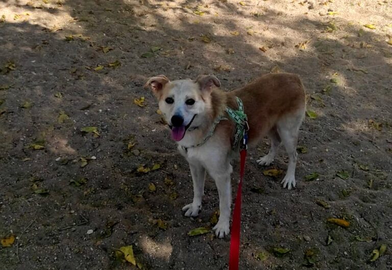 multimedia-foto85476-881-1