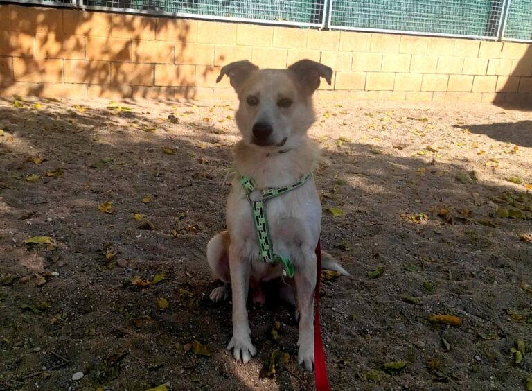 multimedia-foto85477-881-1