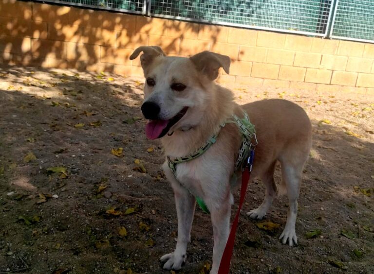 multimedia-foto85478-881-1