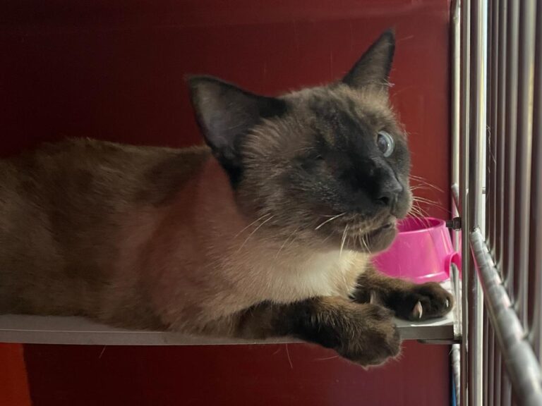 multimedia-foto85479-867-1