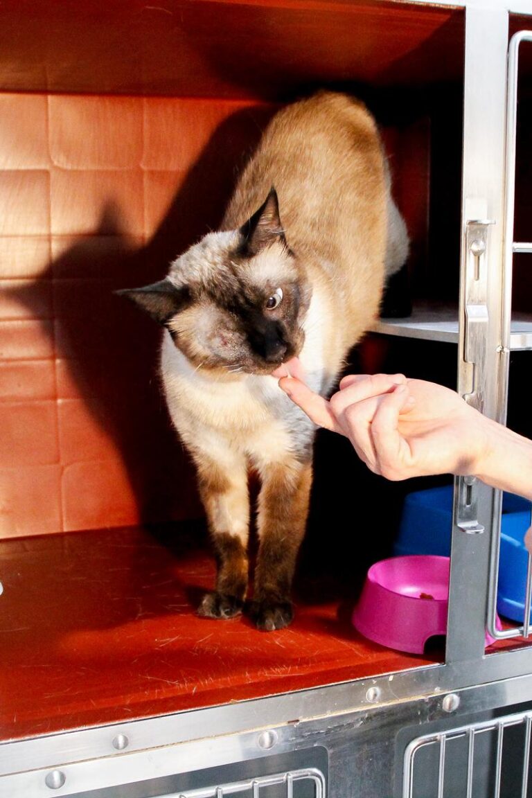 multimedia-foto85485-868-1