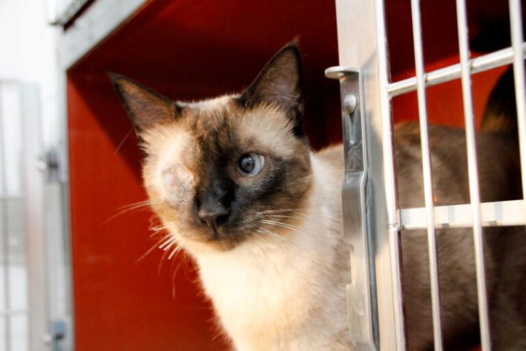 multimedia-foto85488-869-1