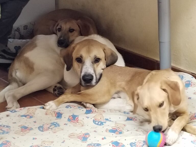 multimedia-foto85492-56-1