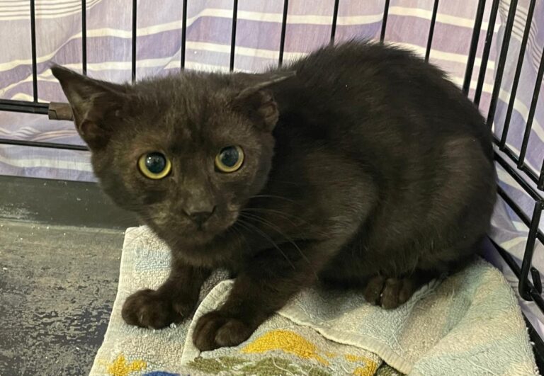 multimedia-foto85605-731-1