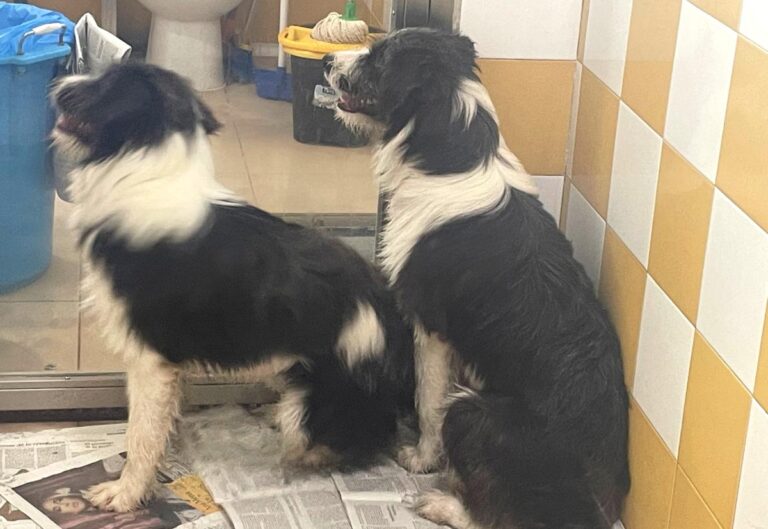 multimedia-foto85625-314-1