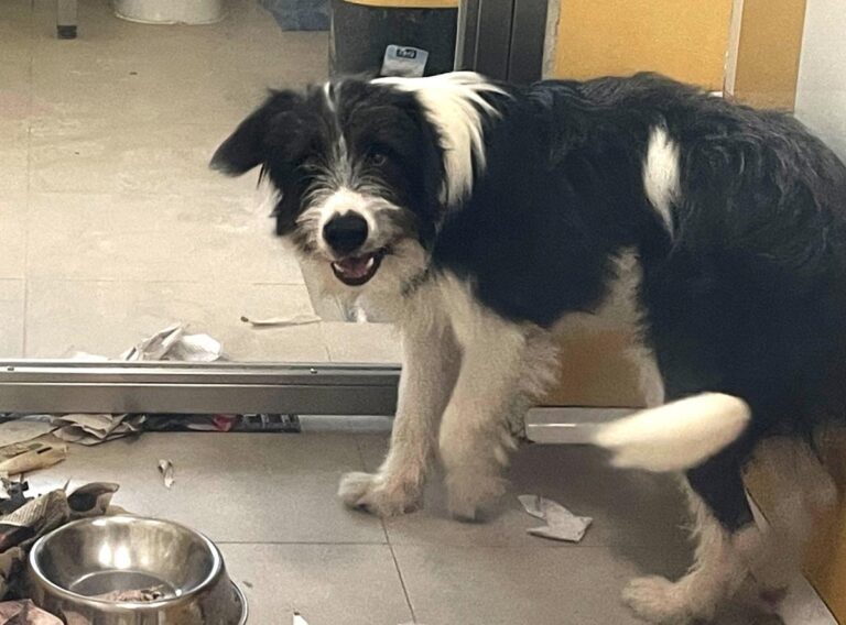 multimedia-foto85627-314-1