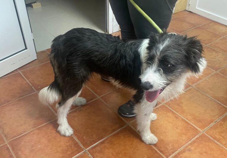 multimedia-foto85628-314-1