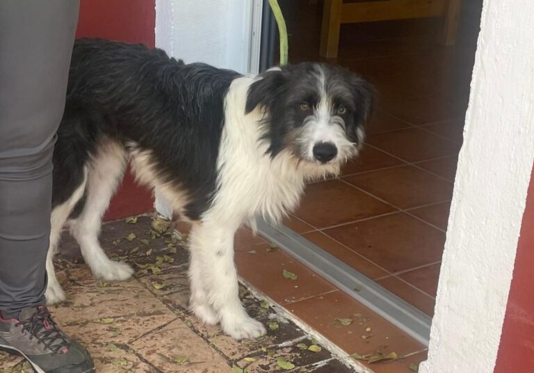 multimedia-foto85629-315-1