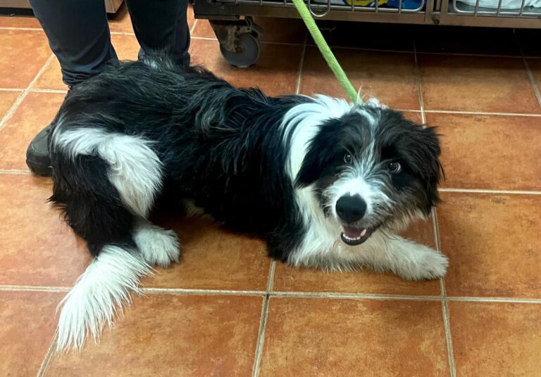 multimedia-foto85635-511-1