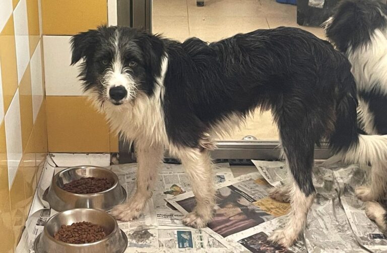 multimedia-foto85636-512-1