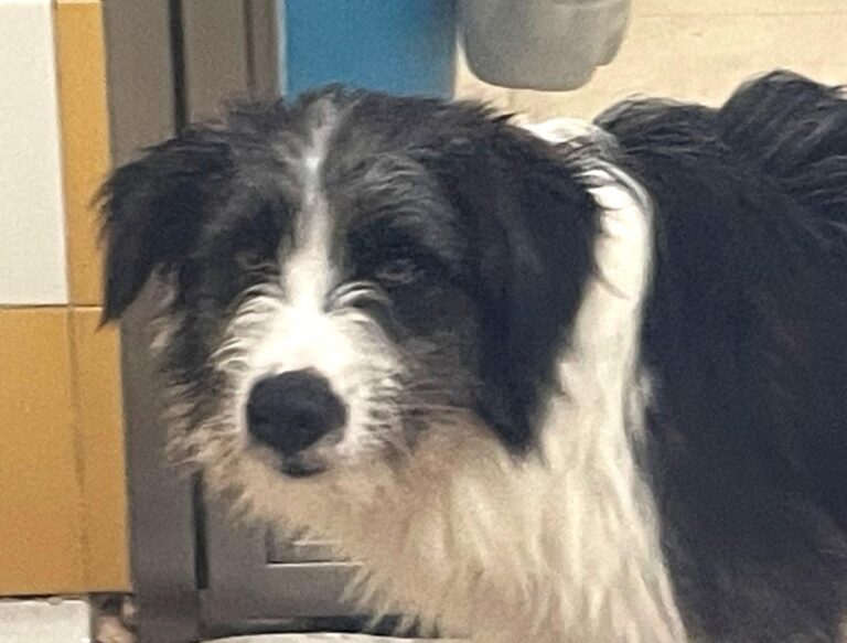 multimedia-foto85637-512-1