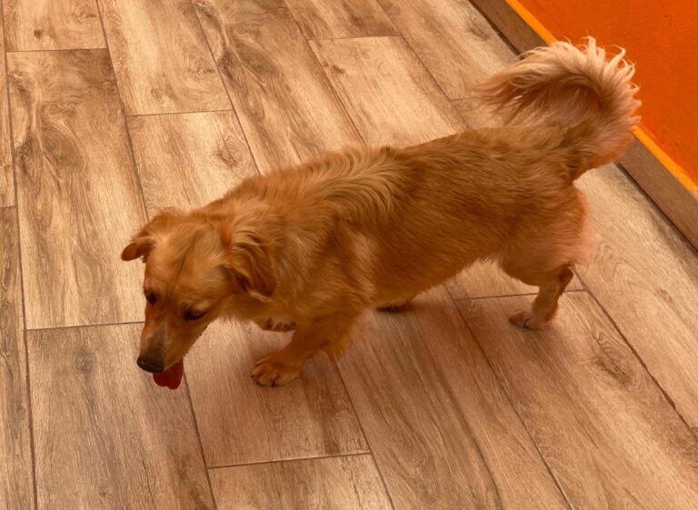 multimedia-foto85670-587-1