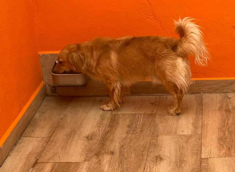 multimedia-foto85671-588-1