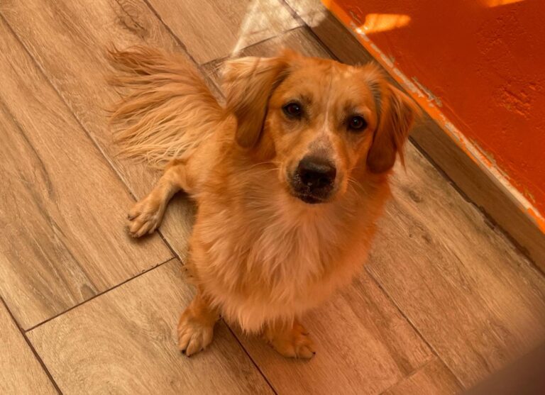 multimedia-foto85673-588-1